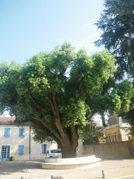 [ACTIVITÉ NATURE] Se balader en s'amusant !